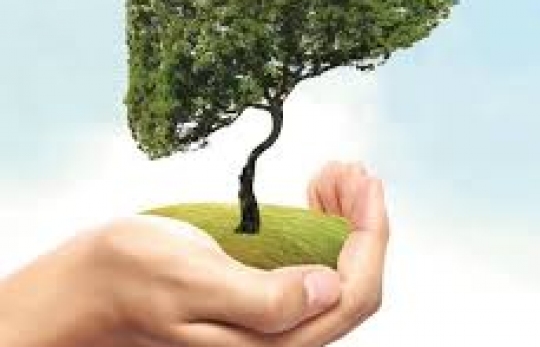 4 biểu hiện nhỏ trên cơ thể cảnh báo GAN đang không khỏe