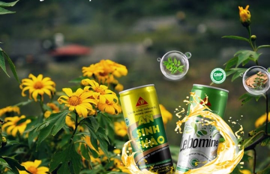 MÁT GAN, GIẢI ĐỘC GAN BẰNG THẢO DƯỢC HIỆU QUẢ TẠI NHÀ