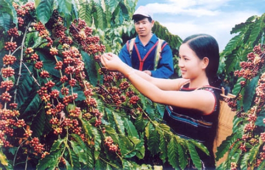 TỔNG DUYỆT CHƯƠNG TRÌNH LỄ KỶ NIỆM 