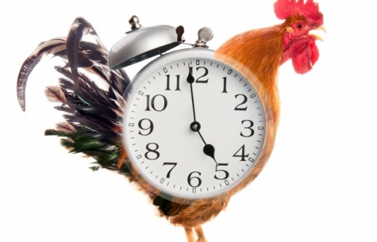 8 LỢI ÍCH CỦA VIỆC DẬY SỚM